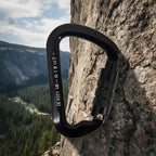 Black carabiner with visible branding