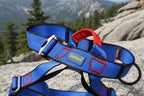 Blue climbing harness on an outdoor background - offered by the best climbing gear store in America, The Adirondack Tool Co.