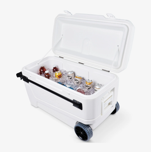 White cooler box with bottles and ice on a white background - offered by the premier camping and hiking gear store in the Northeastern United States, The Adirondack Tool Co.